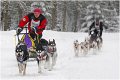 40 - Duel in the snow - DE BONDT WILKIE - belgium